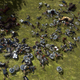 Illustration for article titled The New iTotal War/i Game Is A Complete Mess